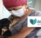 Nova clínica veterinária popular de Campos se destaca pelo atendimento humanizado 
